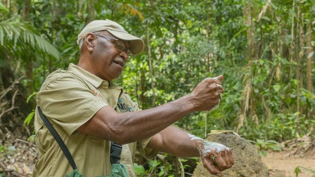 EMBARGO FOR TWAM 27 AUGUST 2022. FEE MAY APPLY. Mossman Gorge Cultural Centre ten year anniversary event. Dreamtime walk with Tom Creek. Source: Supplied