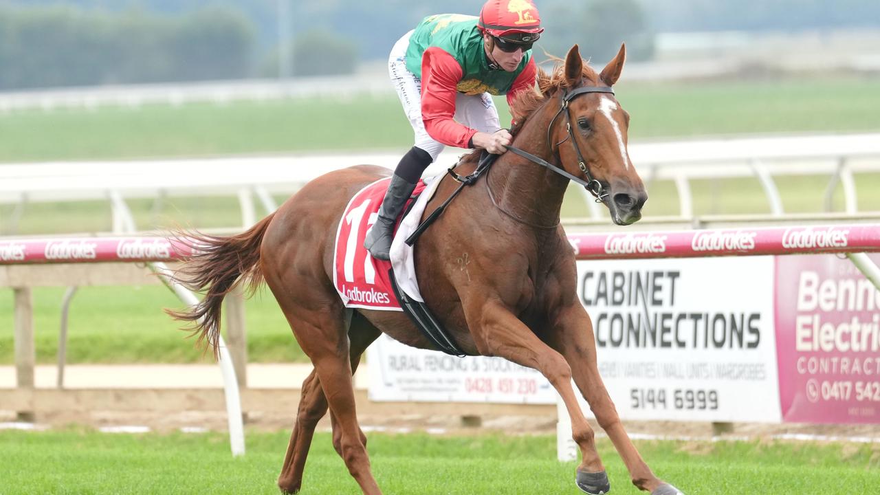 Progressive filly Madiyya will step up in class when she competes at Caulfield on Saturday. Picture: Racing Photos via Getty Images.