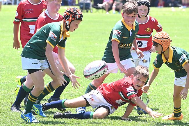 Pacific Youth Rugby Festival in Albany Creek Saturday October 19, 2024. Picture, John Gass