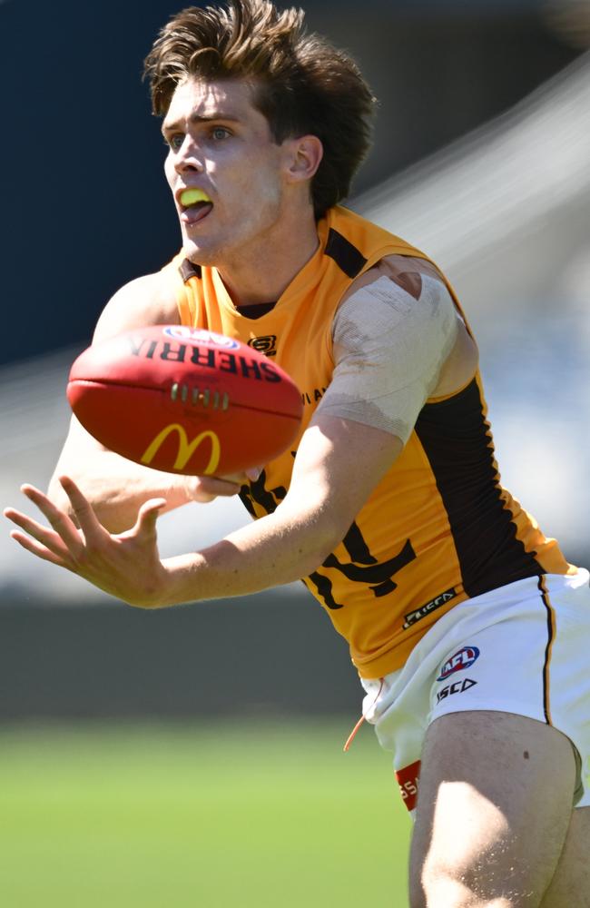 Will Day starred for the Hawks. Picture: Getty Images