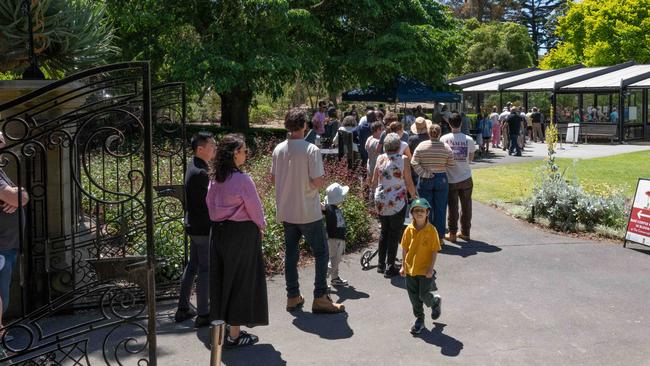 People lined up to see the flower. Picture: Brad Fleet