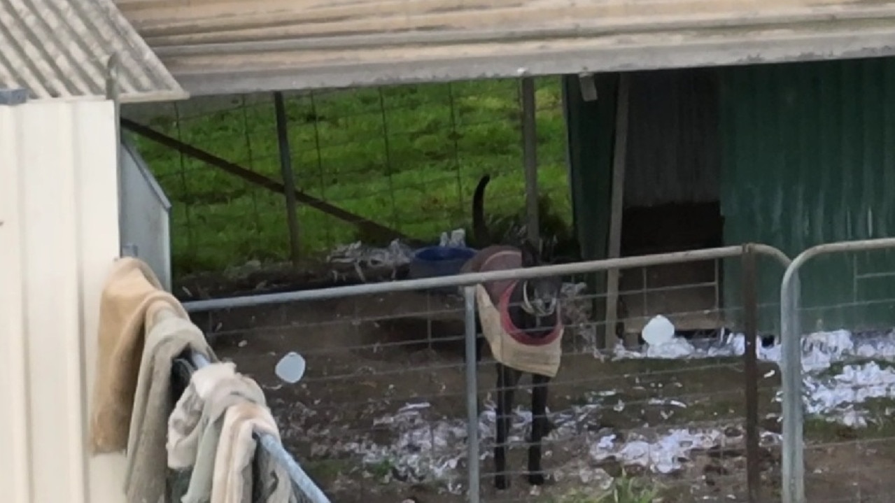 Drone footage captured at an Exeter property owned by controversial greyhound trainer Anthony Bullock. Picture: Facebook