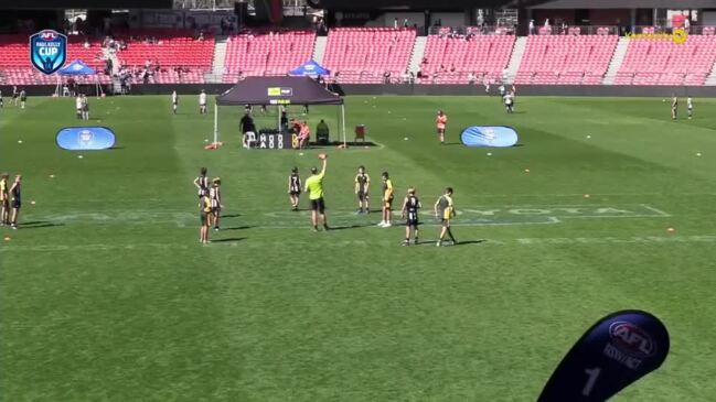 Replay: Hammondville Public School v St Peter's Primary School - Paul Kelly Cup 2024 (Boys)