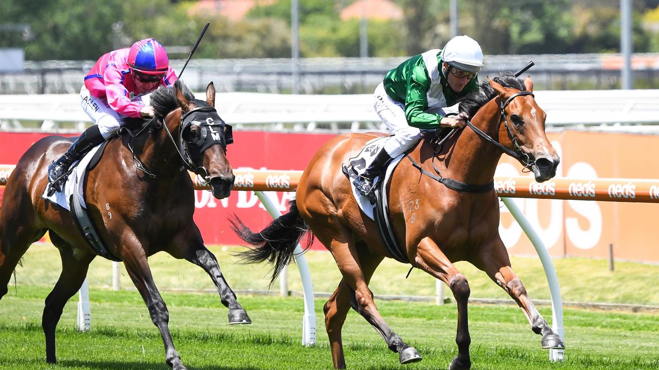 Thoroughbred Club Merson Cooper Stakes