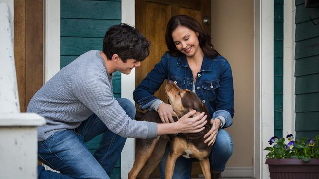 Lucas(Jonah Hauer King), Bella (Shelby) and Terri (Ashley Judd) in Columbia Pictures' <i>A Dog’s Way Home</i>.