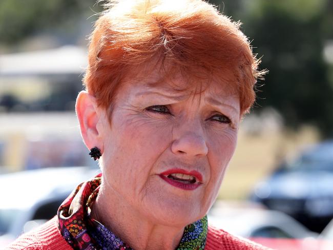 ‘Stupid’: Pauline slams new Covid rule