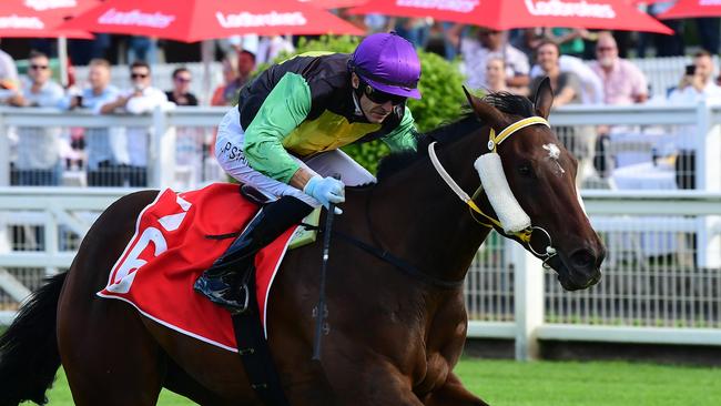 End Assembly ends Golden Boom's winning streak in the Listed Gold Edition Plate at Eagle Farm. Picture: Grant Peters–Trackside Photography