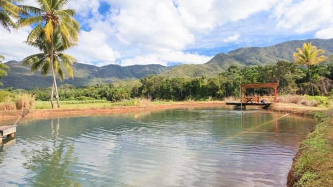 The fish pond at the Catch A Barra property.