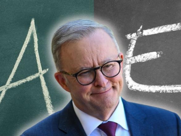 Anthony Albanese report card