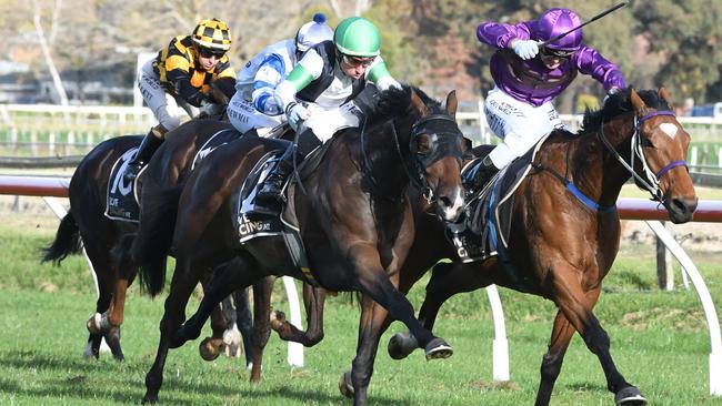 Witsabouthim (outside) should appreciate the wet track at Canterbury. Picture: Race Images