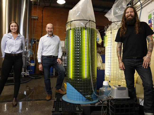 Penny Graham from Meat &amp; Livestock Australia, Dr Peter Ralph from UTS and Oscar McMahon, co-founder of Young Henrys, with the algae tanks at their brewery in Newtown. Picture: Jonathan Ng