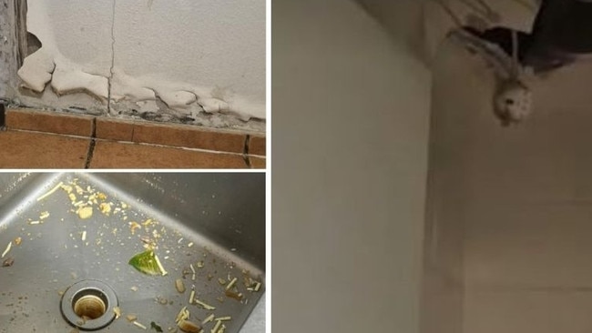 Inside Dingo Blue (left to right): a peeling bathroom wall, with the suggestion of mould underneath; the ceiling in one of the bathroom stalls with wires exposed; the kitchen sink after a Saturday club night which was described in a message as containing a “mix of pasta and vomit”.