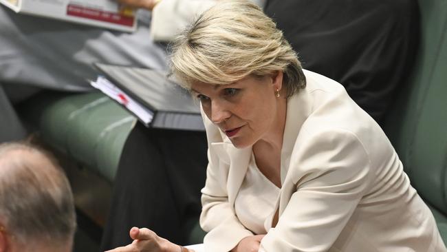 CANBERRA, AUSTRALIA, NewsWire Photos. MARCH 19, 2024: Minister for Environment and Water Tanya Plibersek during Question Time at Parliament House in Canberra. Picture: NCA NewsWire / Martin Ollman