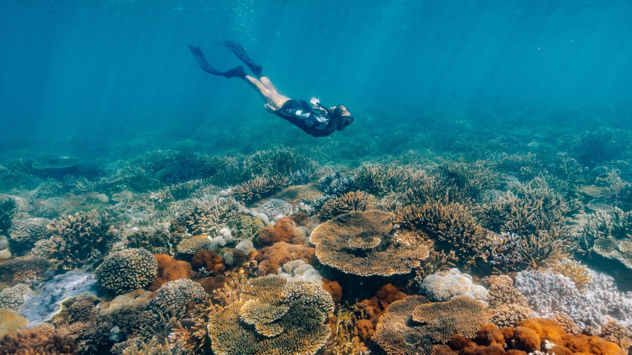 Snorkeling off a reef near Great Keppel Island. Picture: Tourism and Events Queensland