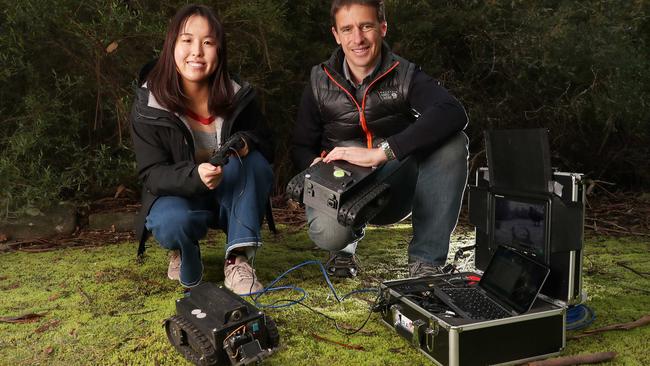 Scott Carver wildlife ecology from UTAS with zoology honours student Reika Takeuchi who is also part of the research team.  The team have developed a robot called a WomBot that allows study into the ecology of wombats.  Picture: Nikki Davis-Jones