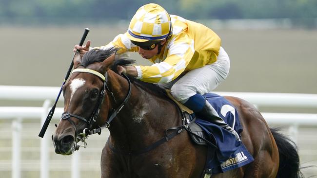 Hoo Ya Mal, another northern hemisphere-bred three-year-old, joins Deauville Legend in the Melbourne Cup. Picture: Getty Images