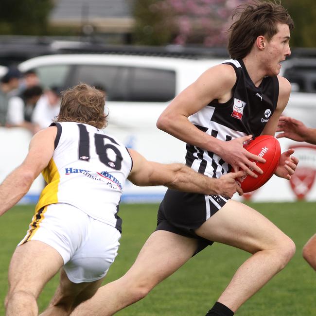 Surrey Park’s Nick Kann in action. Photo: Hamish Blair