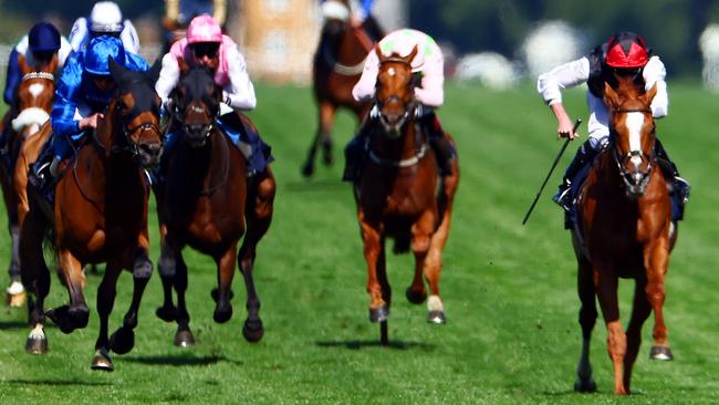 Vauban (second from right) runs fourth behind Kyprios (right).