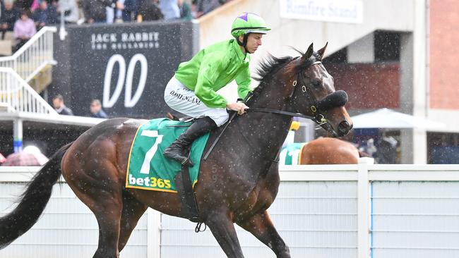 Melbourne Cup contender Virtuous Circle, bred and part-owned by James McDonald’s mum. Picture: Getty Images