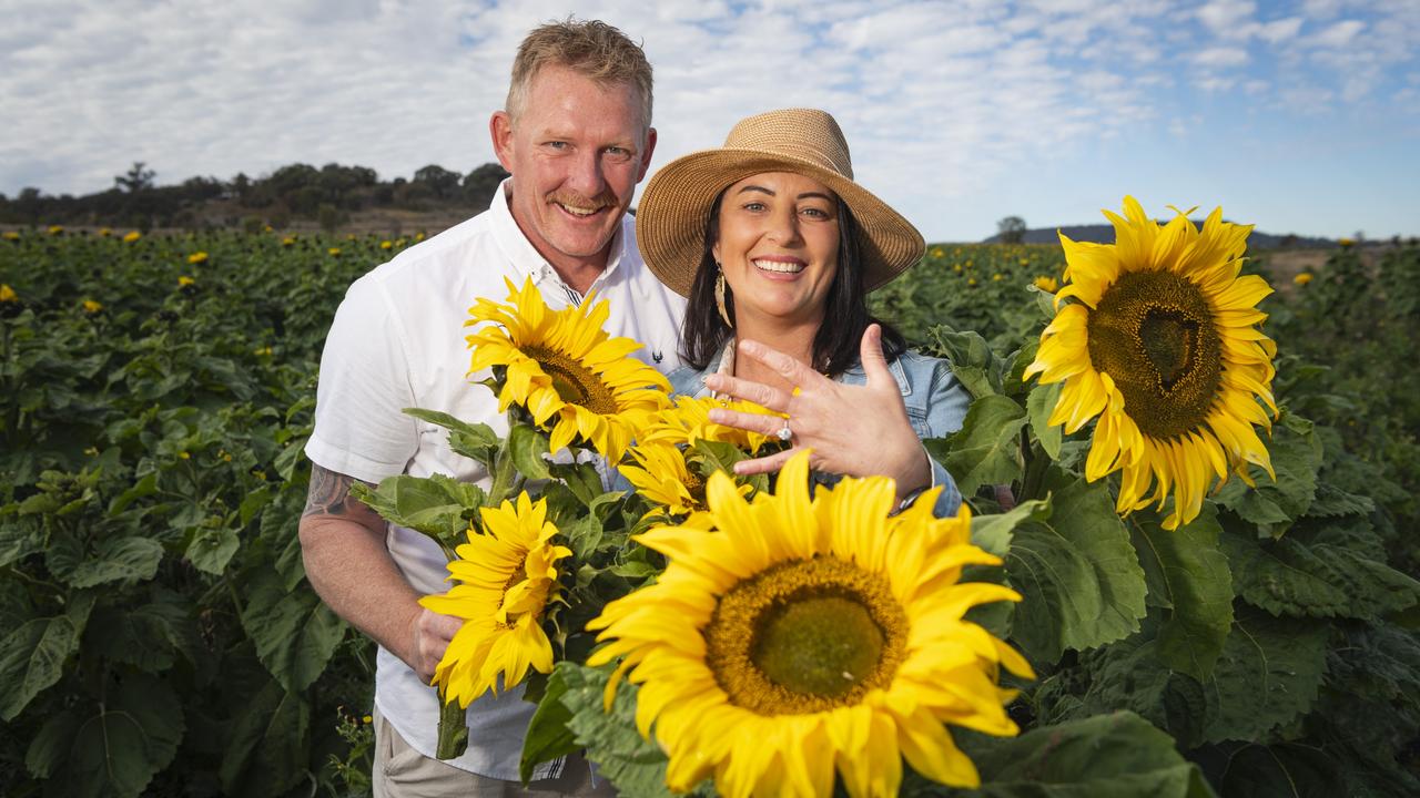 Nick Rafter proposed to Jennifer Hodges while at Warraba Sunflowers, Saturday, June 22, 2024. Picture: Kevin Farmer