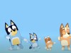 Bluey creators release extended theme song