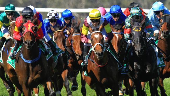 Loving home ridden by Tye Angland  (yellow cap, maroon with yellow armbands) wins race 1 during Scone  Races located in the Upper Hunter Region of NSW. The Bend . Pic Jenny Evans