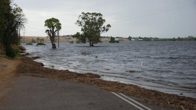 The Pfeiffer’s farm at Murray Bridge is underwater after the Long Flat levee breached on January 7. Photo: Dylan Hogarth