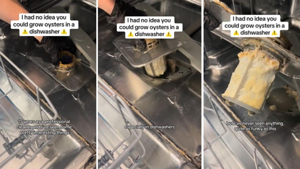 WHAT IS THAT?! Mrs Croukamp said she’s ‘never seen anything quite as funky’ as the growth lurking on this dishwasher filter. Picture: TikTok (cleanlikeapro)