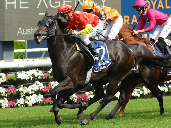 SYDNEY, AUSTRALIA - MARCH 04: Zac Purton riding Artorius wins Race 7 Furphy Canterbury Stakes during Sydney Racing at Royal Randwick Racecourse on March 04, 2023 in Sydney, Australia. (Photo by Jeremy Ng/Getty Images)