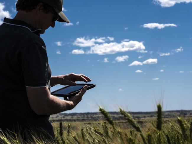 GRDC will partner with Farmers2Founders to deliver online Growers as Innovators Workshops. Picture: EVAN COLLIS/GRDC