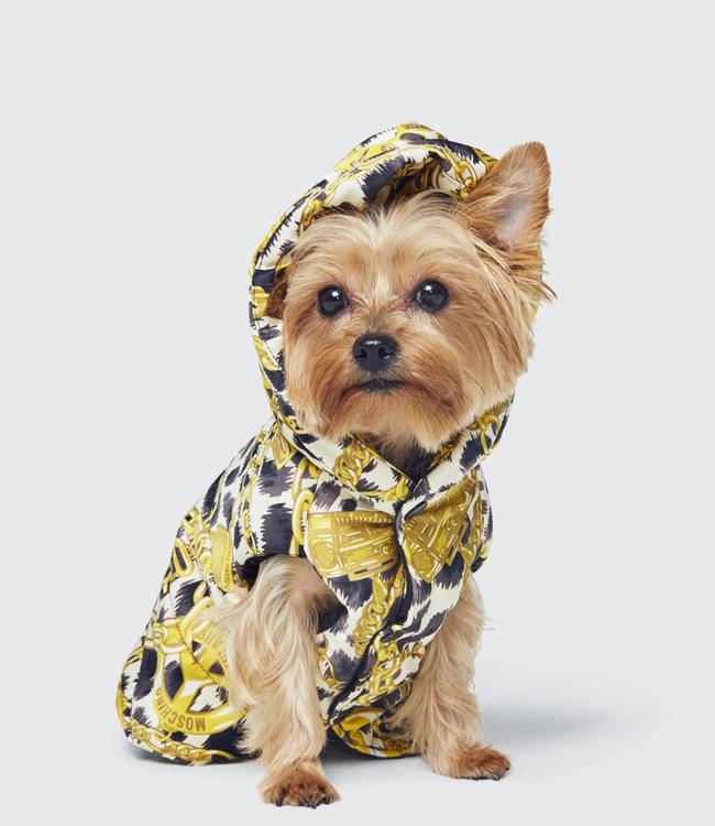 H&amp;M’s latest designer collaboration was with Italian fashion label Moschino. It includes, for the first time, clothes for pets. Picture: H&amp;M