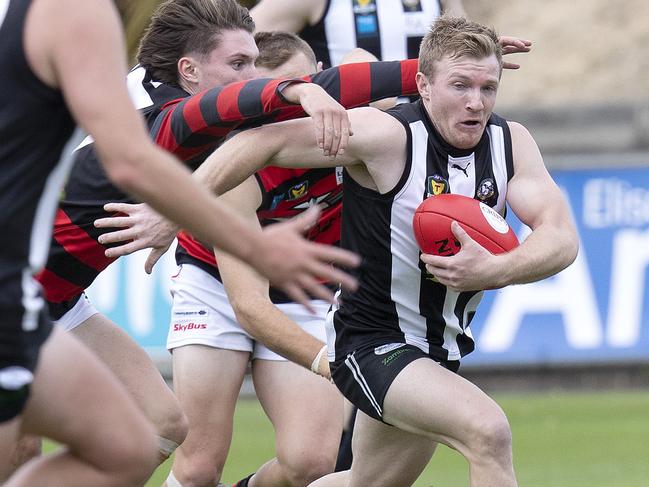 Callen Daly kicked four goals for the Pies. Picture: Chris Kidd