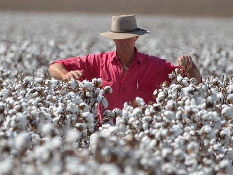 ‘They’re building a Rolls Royce when we need a Commodore’: Farmers fury at Sunwater