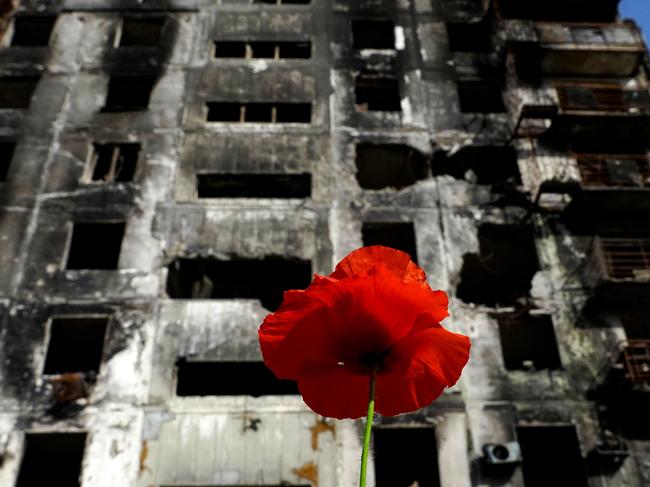 A red poppy flower stands in front of a destroyed residential building in Mariupol on Tuesday amid the ongoing military action in Ukraine. Photo: AFP