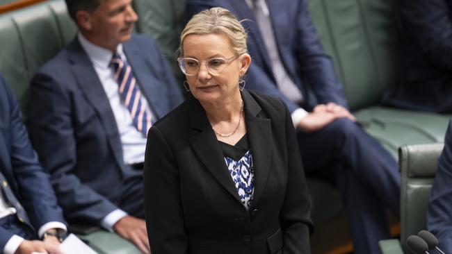 Deputy Opposition Leader Sussan Ley says Mr Husic must ‘consider his position’. Picture: NCA NewsWire / Martin Ollman