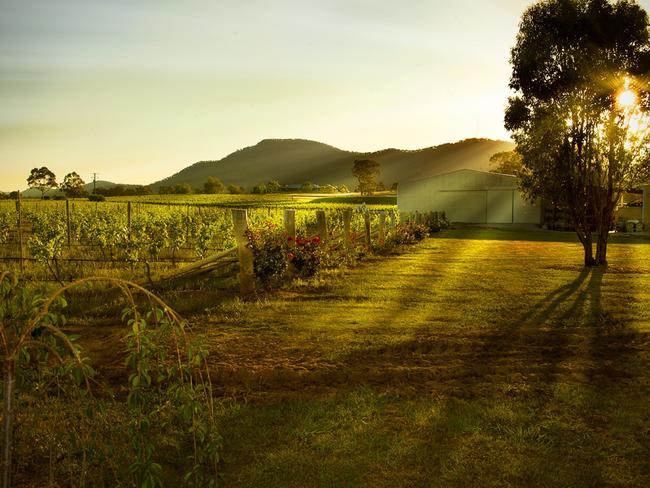 ESCAPE:  Hunter Valley Wine and Food Festival story by Simon Tsang - Broke; Spirit of the Vines Festival 2011 . Picture: Supplied