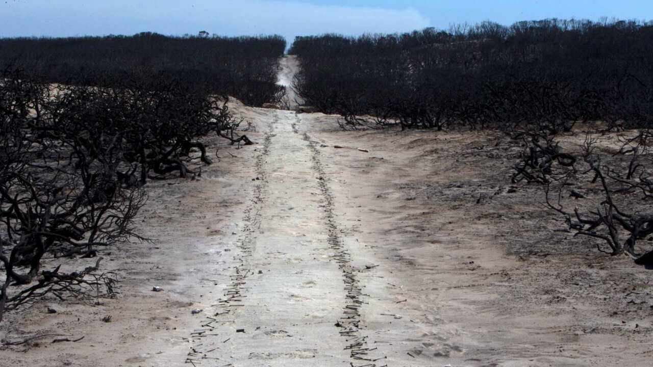 SA report finds CFS prioritised national park buildings over homes