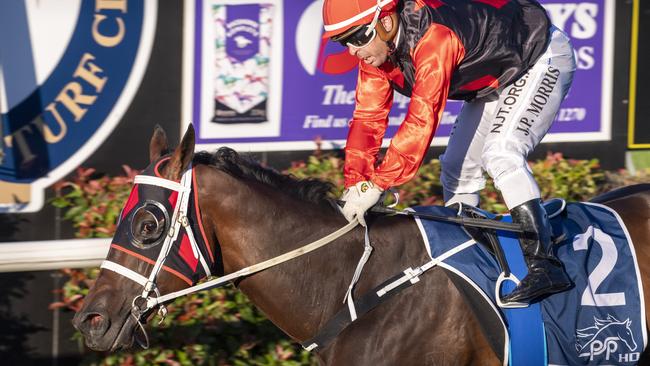 Wild Moon ridden by Jackson Morris  wins race 2 at Clifford Park race course. Saturday. 14th Nov 2020