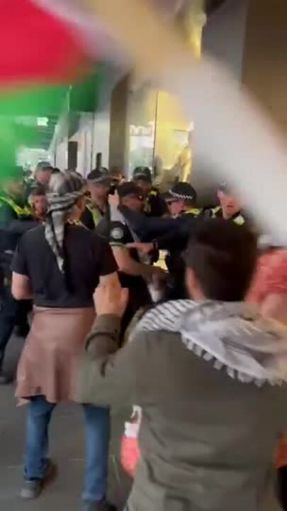 Pro-Palestine protesters clash with a busker in Bourke St