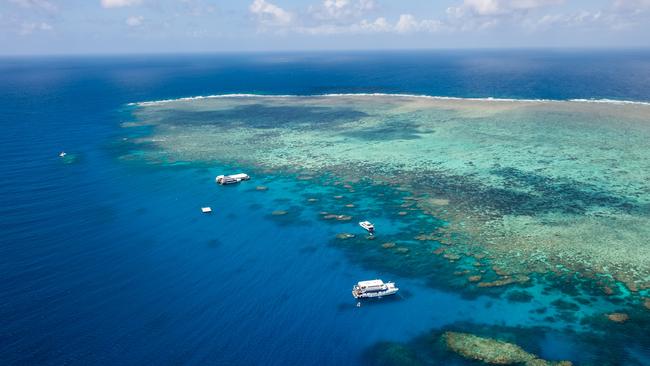 A day-tripper has died at Norman Reef off the coast of Cairns.