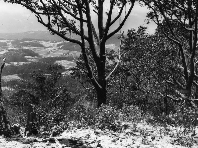 Snow on the ground on Mt Lofty Summit near Uraidla. Heavy snow fell on July 19 and 20, 1951 and was reported to be one of the heaviest in SA’s history. Photo published "The Chronicle" July 26, 1951.