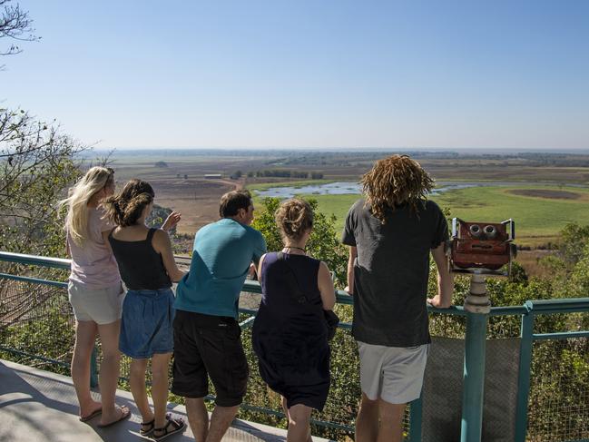 Window on the Wetlands reopening plans revealed