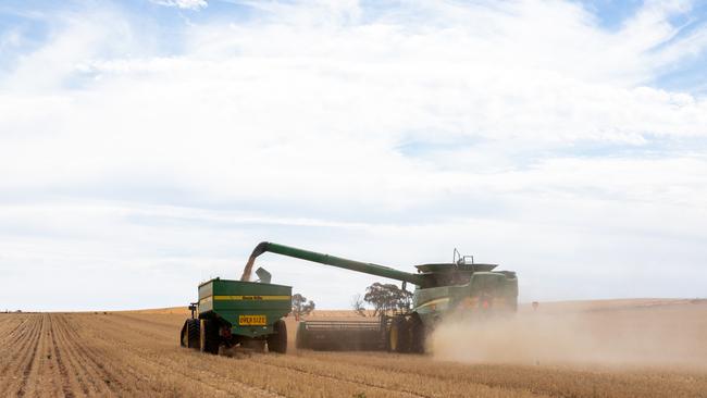 The harvest underway at Bulla Bulla. Picture: Jannette Fulham/ Riverland Commercial Photography