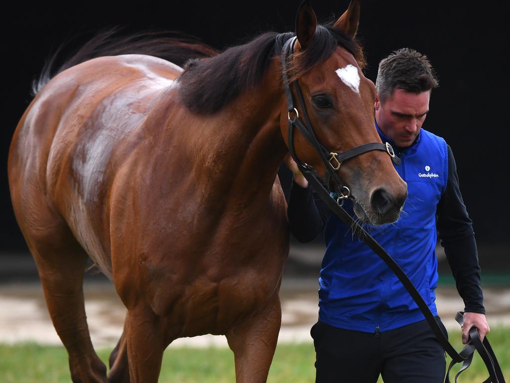 Last year’s Melbourne Cup winner Cross Counter. Picture: Vince Caligiuri/AAP