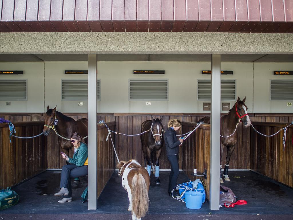 2015 Melbourne Cup Day. Picture: Jason Edwards