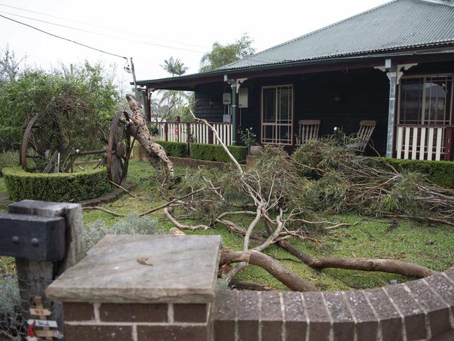 SYDNEY, AUSTRALIA - NewsWire Photos - NOVEMBER 29, 2024:Appin was hit with high winds causing multiple Property damage mostly from fallen Eucalypt tree limbs.Picture: NewsWire / Simon Bullard.