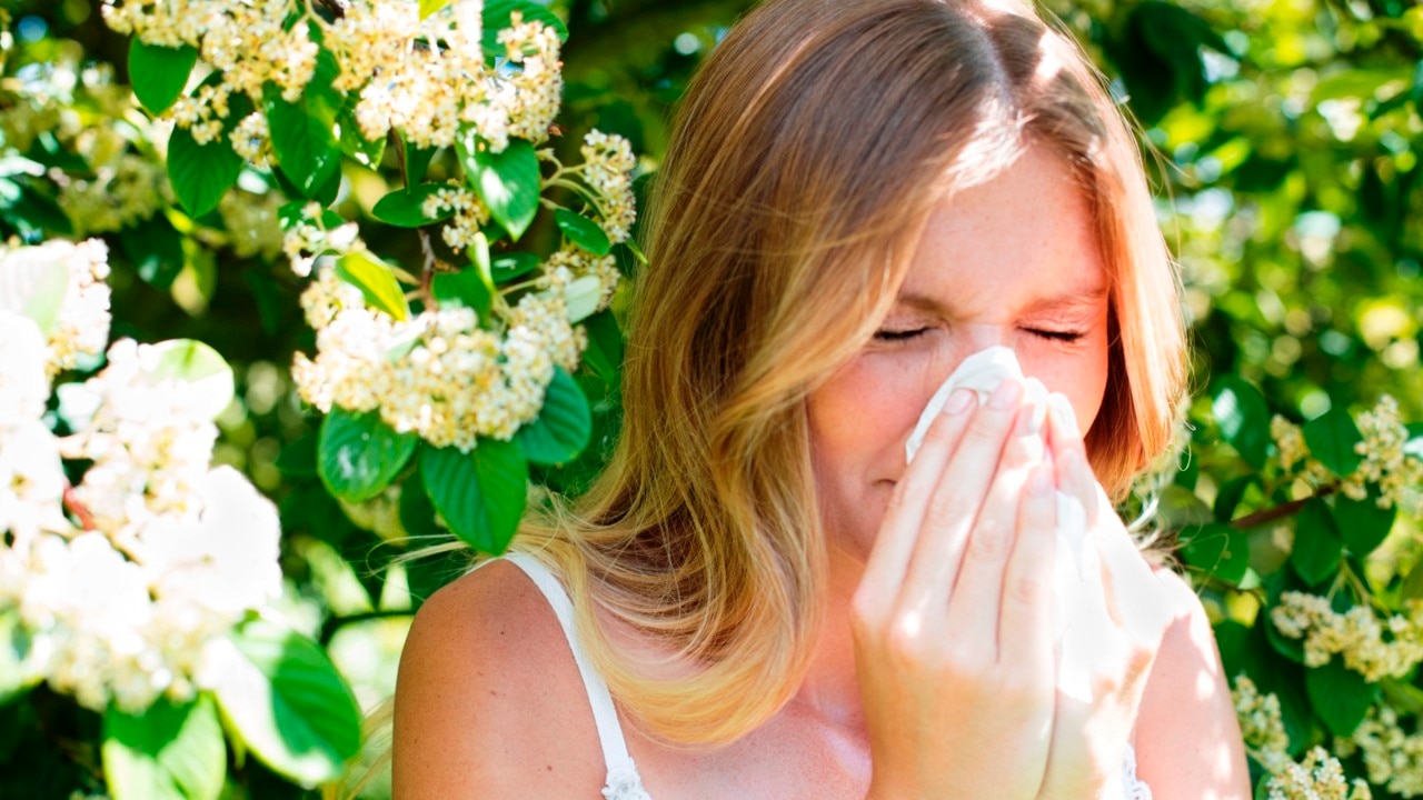 Daily tablet provides hope for hay fever and asthma sufferers