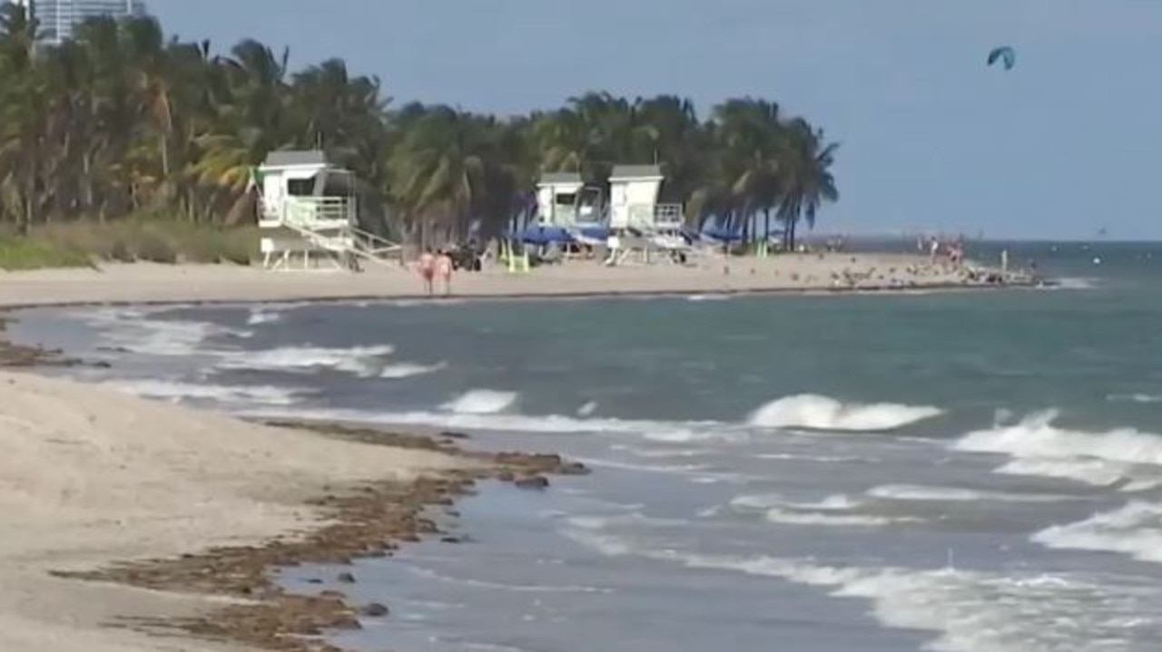 Miami Beach police searched for two days before suspending their efforts. Picture: NBC 6 Miami