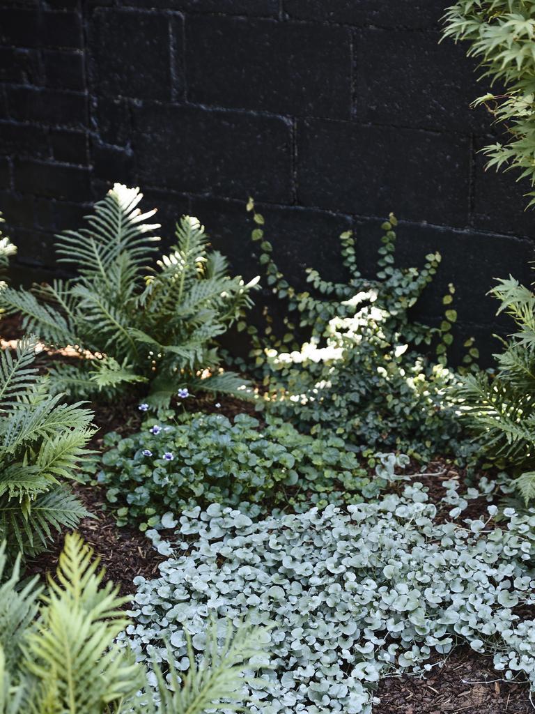 The garden is now able to be appreciated from inside the home.