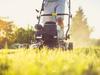 Top gardening tips for the time-poor